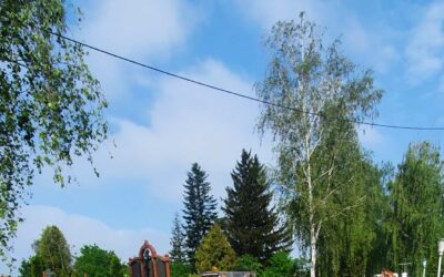 Роботи по покращенню благоустрою кладовищ продовжуються – прибрали стихійні сміттєзвалища на кладовищі району Садгора.